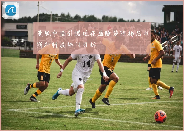 曼联中场引援迫在眉睫楚阿梅尼与斯科特成热门目标