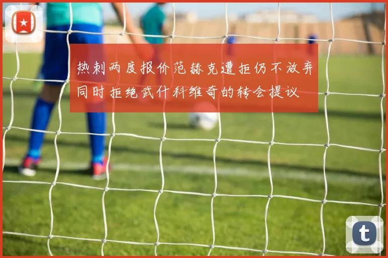 热刺两度报价范赫克遭拒仍不放弃同时拒绝武什科维奇的转会提议