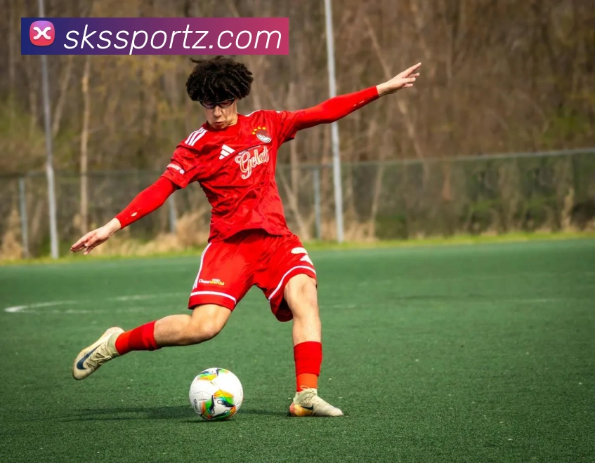 登录器
